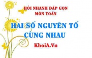 2 số nguyên tố cùng nhau khi nào? có tính chất gì? Hỏi nhanh đáp gọn môn Toán